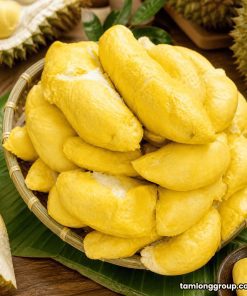 Khóa học làm kem bơ sầu riêng thơm ngon chuẩn vị 13 Khóa học làm kem bơ sầu riêng thơm ngon chuẩn vị