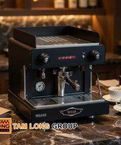 Máy Pha Cà Phê Wega Pegaso 1 Group Chính Hãng Ý 13 Máy Pha Cà Phê Wega Pegaso 1 Group Chính Hãng Ý