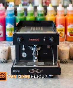 Máy Pha Cà Phê Wega Pegaso 1 Group Chính Hãng Ý 8 Máy Pha Cà Phê Wega Pegaso 1 Group Chính Hãng Ý