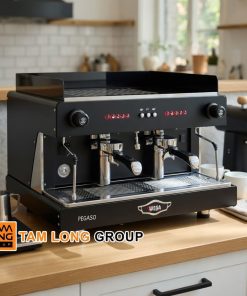 Máy Pha Cà Phê Wega Pegaso 2 Group Chính Hãng Ý 10 Máy Pha Cà Phê Wega Pegaso 2 Group Chính Hãng Ý