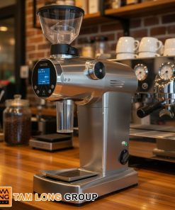 Máy Xay Cà Phê Mazzer ZM Chính Hãng Ý 10 Máy Xay Cà Phê Mazzer ZM Chính Hãng Ý