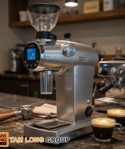 Máy Xay Cà Phê Mazzer ZM Chính Hãng Ý 8 Máy Xay Cà Phê Mazzer ZM Chính Hãng Ý