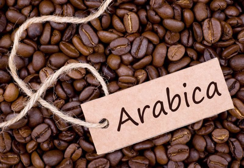 Khám phá các loại cà phê phổ biến tại Việt Nam 8 Hạt cà phê Arabica