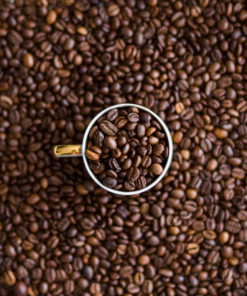 Hạt cà phê Culi ngon để bán quán