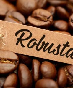 Hạt cà phê Robusta ngon để bán quán