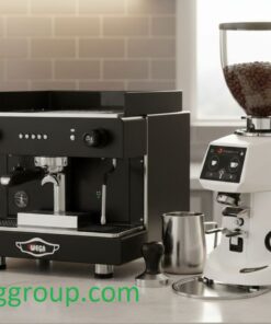 Combo máy pha cà phê Wega Pegaso A1 Group + Máy xay cà phê Fiorenzato F64E version 2