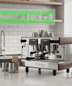 Máy pha cà phê Casadio Dieci A2 2 Group