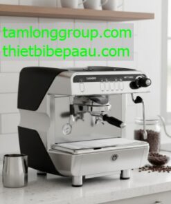 may pha ca phe casadio nettuno 1 group 8