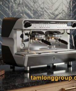 Máy pha cà phê Casadio Nettuno A2 2 Group