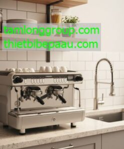 Máy pha cà phê Casadio Nettuno A2 2 Group