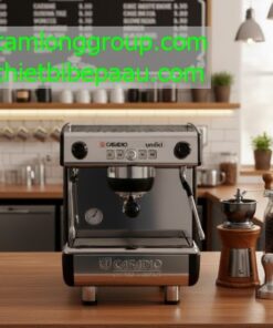 MÁY PHA CÀ PHÊ TẠI TPHCM 36 may pha ca phe casadio undici a1 1 group 4