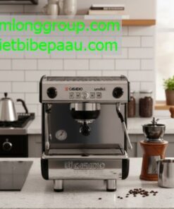 MÁY PHA CÀ PHÊ TẠI TPHCM 35 Máy pha cà phê Casadio Undici A1 1 Group