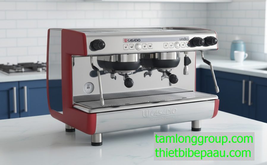 Máy pha cà phê Casadio Undici A2 2 Group 