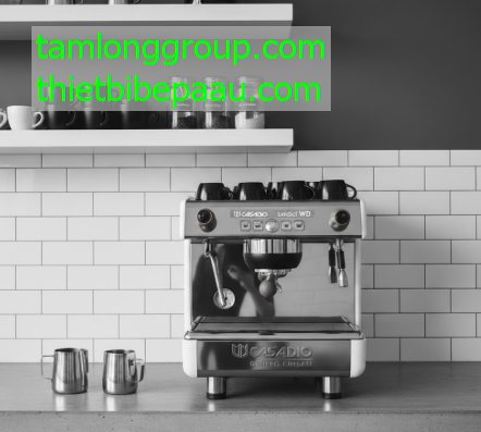 may pha ca phe casadio undici wd a1 group 4