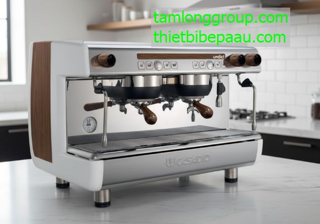 may pha ca phe casadio undici wd a2 group 5