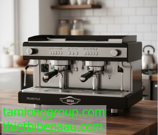 Máy pha cà phê Pegaso Plus 2 Group