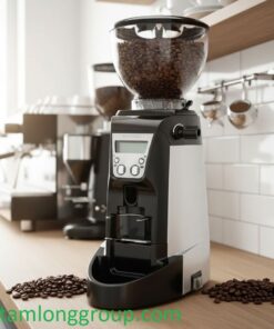 Máy xay cà phê Casadio Enea On Demand