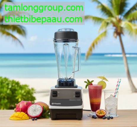 may xay sinh to vitamix drink machine two speed