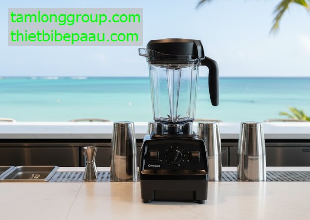 may xay sinh to vitamix e320 2